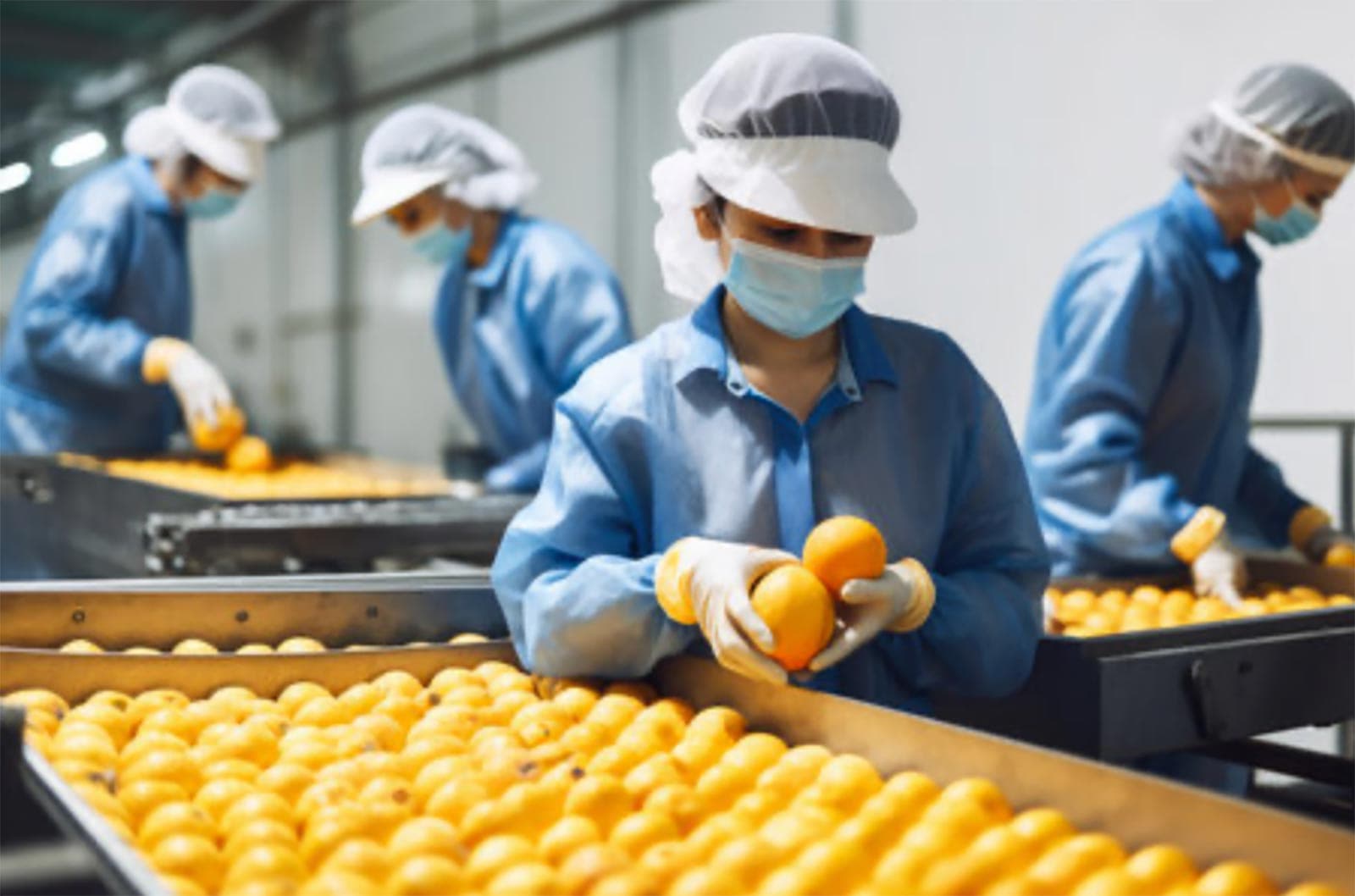 Normativa alimentare e HACCP